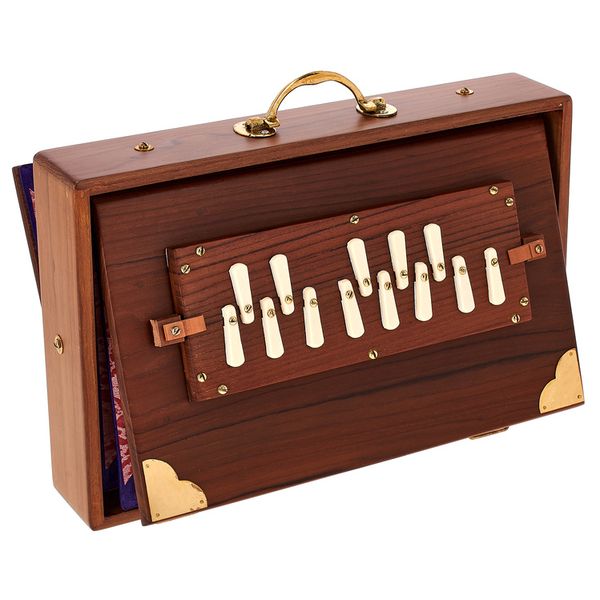 Thomann Nataraj Prof. Shruti Solid TW