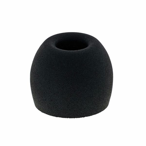 Fischer Amps FA- Foam Tips L