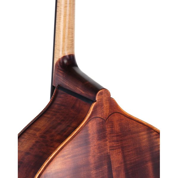 Roth & Junius Europe Orchestra Bass 3/4