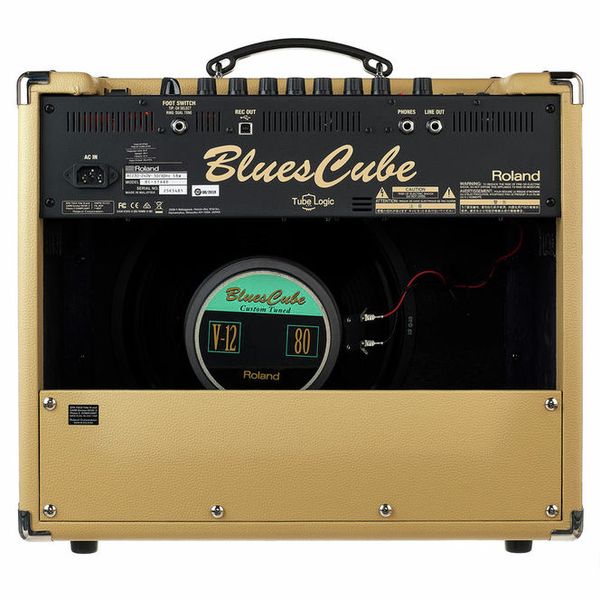 Roland Blues Cube Stage