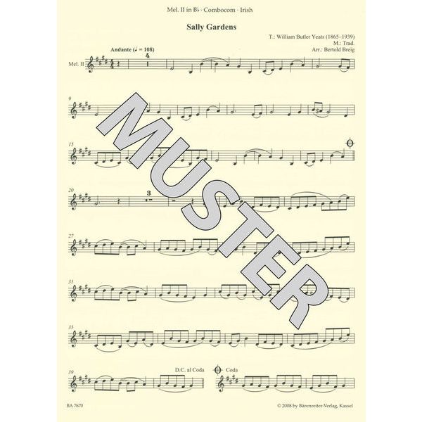 Brenreiter combocom Irish