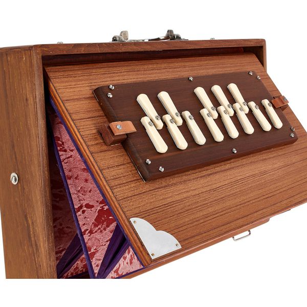 Thomann Nataraj Prof. Shruti C-C Med.