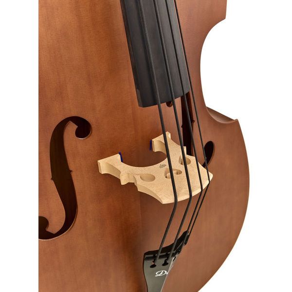 Duke Special BRG Double Bass 3/4