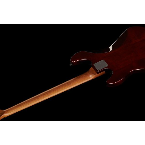 Marcus Miller P5R Alder-4 TS