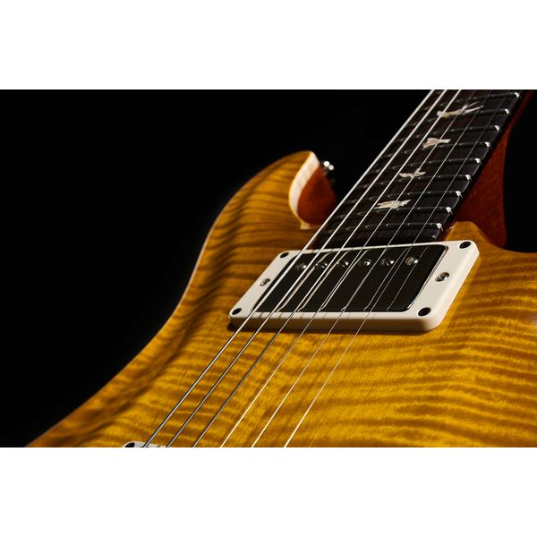 PRS DGT Birds MS