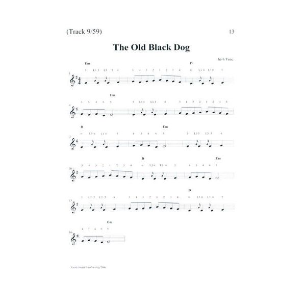 TWZ Nicole Joseph Tin Whistle Workshop 2