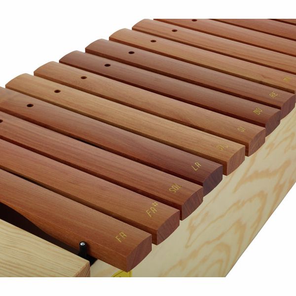 Studio 49 AX1600 Alto Xylophone DoReMi