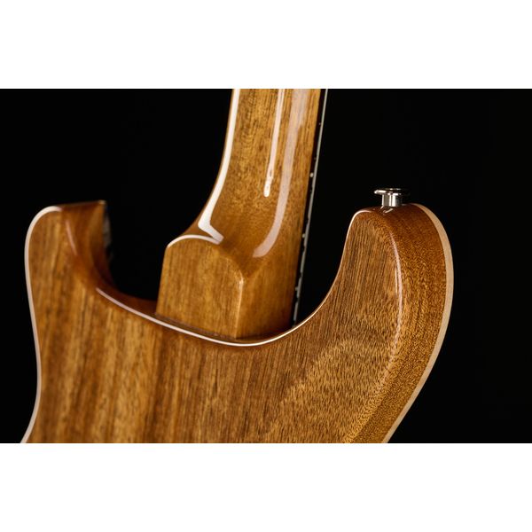 PRS DGT Birds Charcoal '24