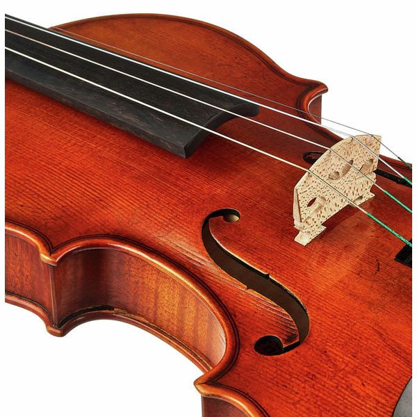 Karl H&ouml;fner H225-BG-V G.B. Guadagnini