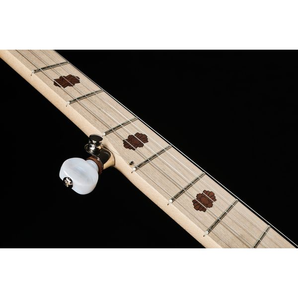 Deering Goodtime Two Banjo