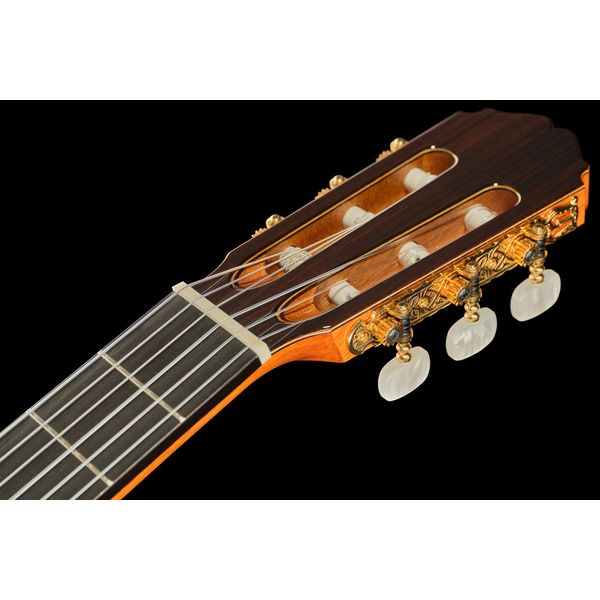 Takamine DH90 w/Softcase