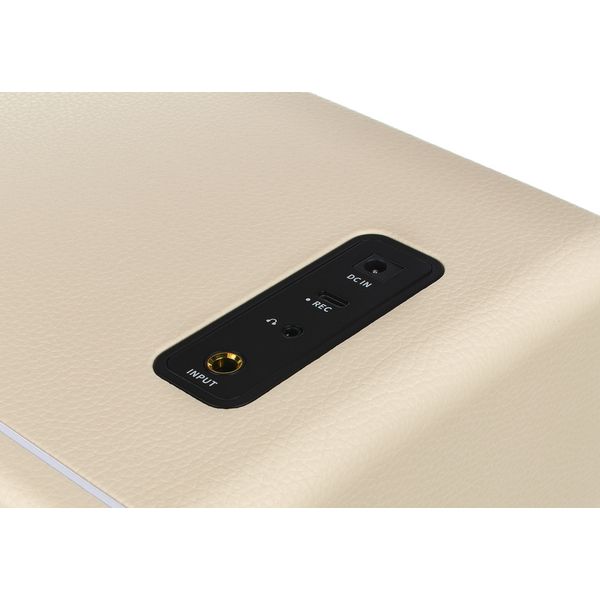 Mooer Hornet 30i Modeling Amp White