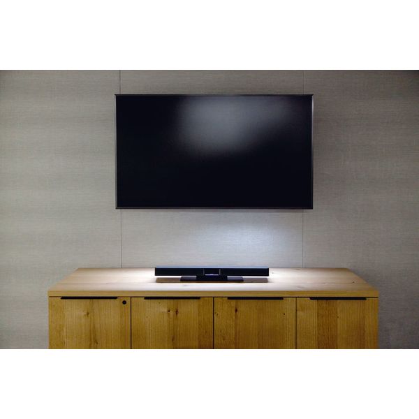 Bose Professional Videobar VB1