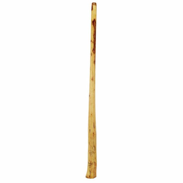 Thomann Didgeridoo Eucalyp. Proline D