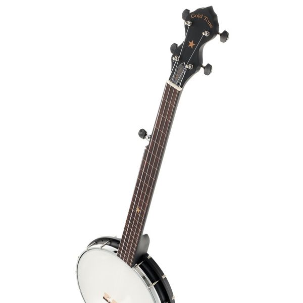 Gold Tone AC-1FL Open Back Fretless