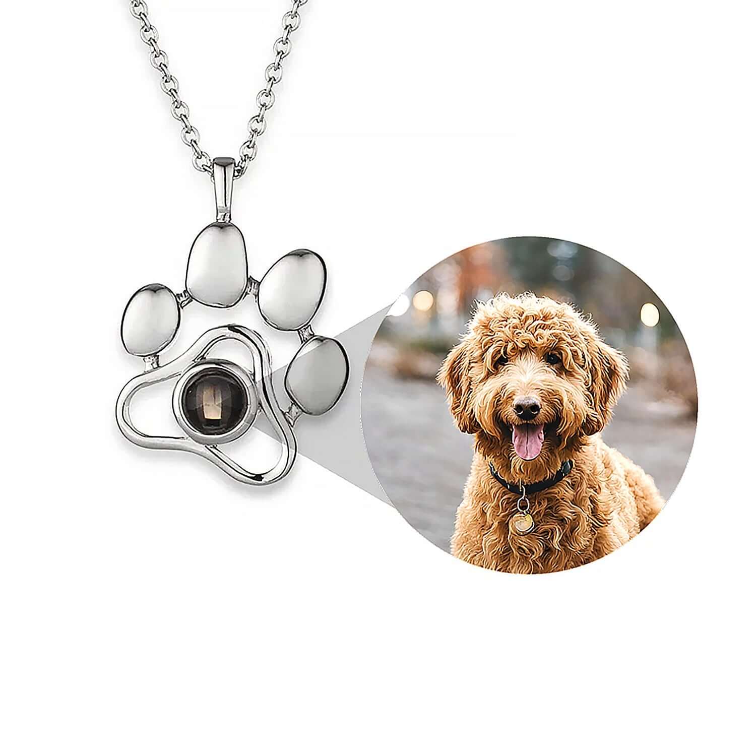 Pet Paw Photo Memory Necklace
