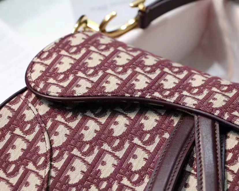 Dior saddle bag in red