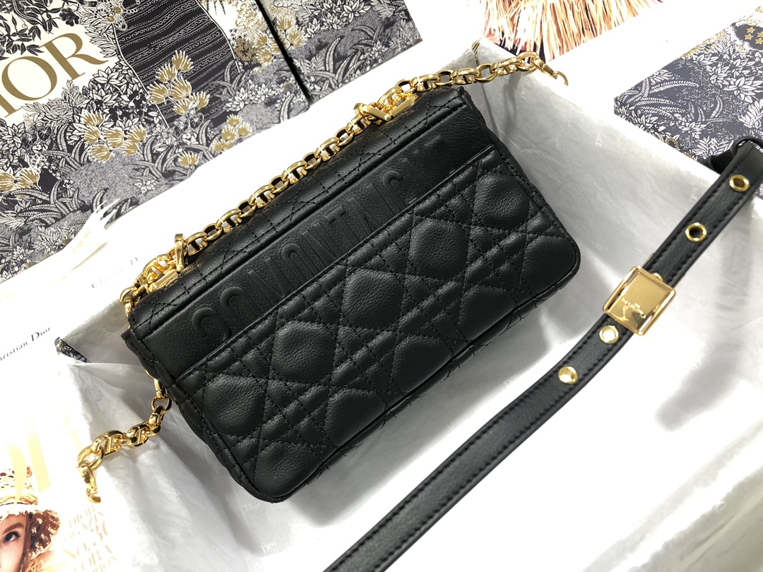 Dior Caro