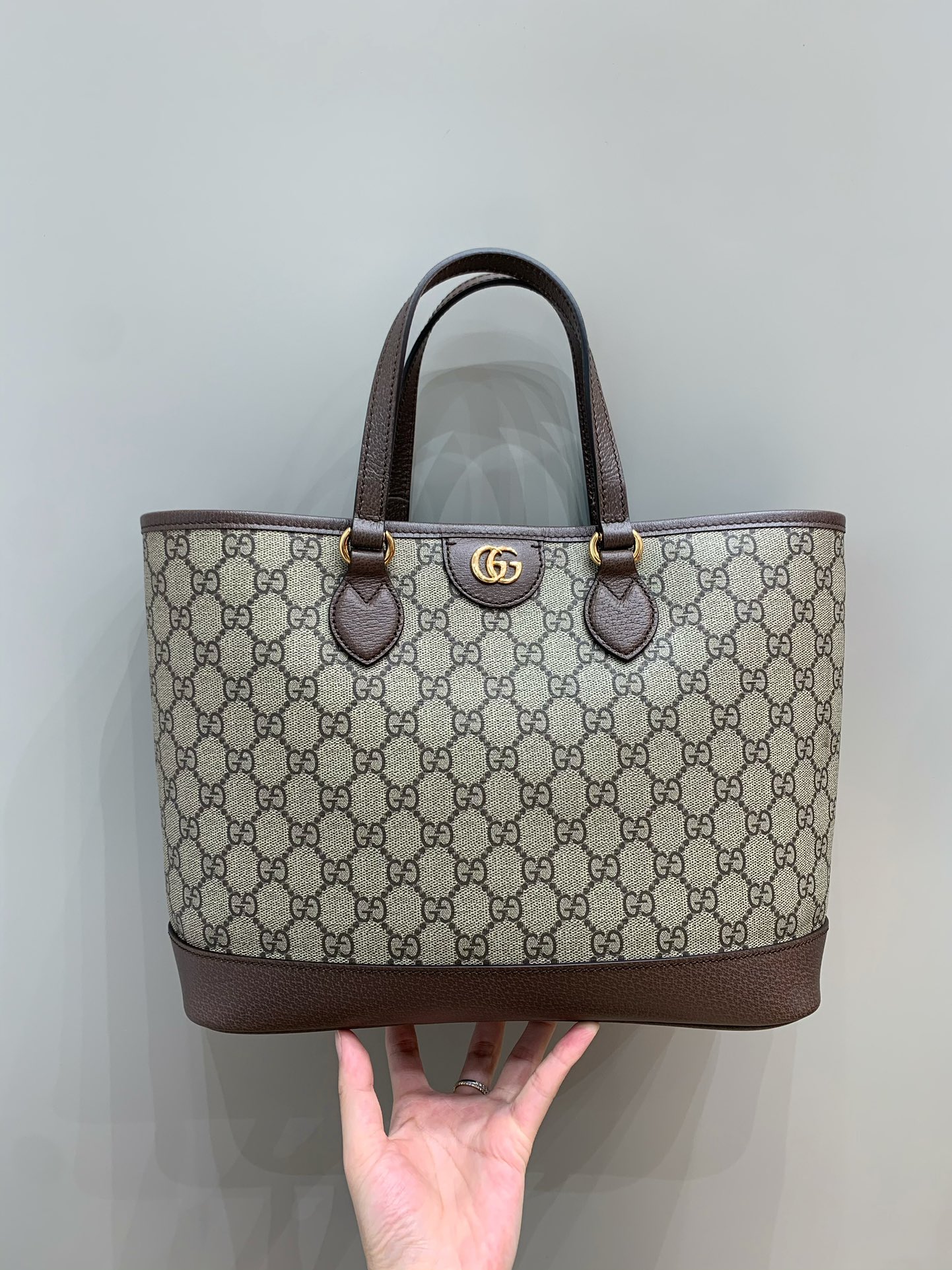 Ophidia mini tote bag
