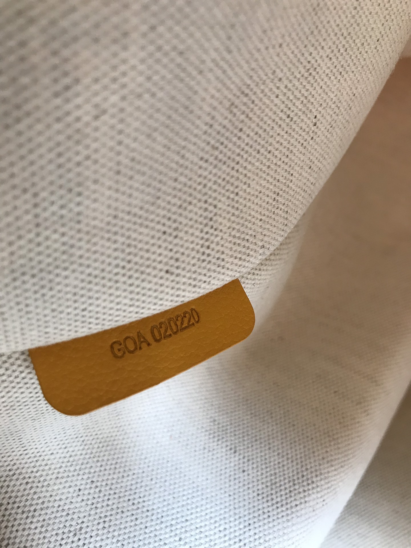 Goyard poitires bag