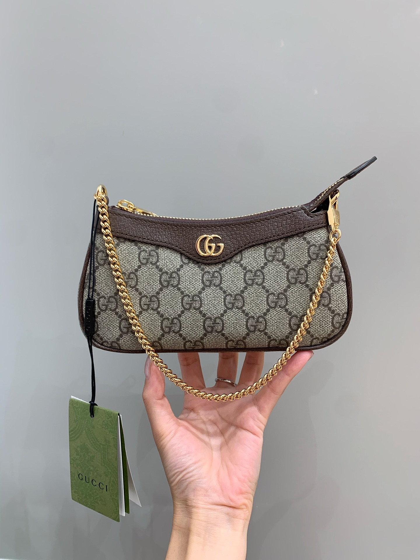 Gucc1 ophidia mini