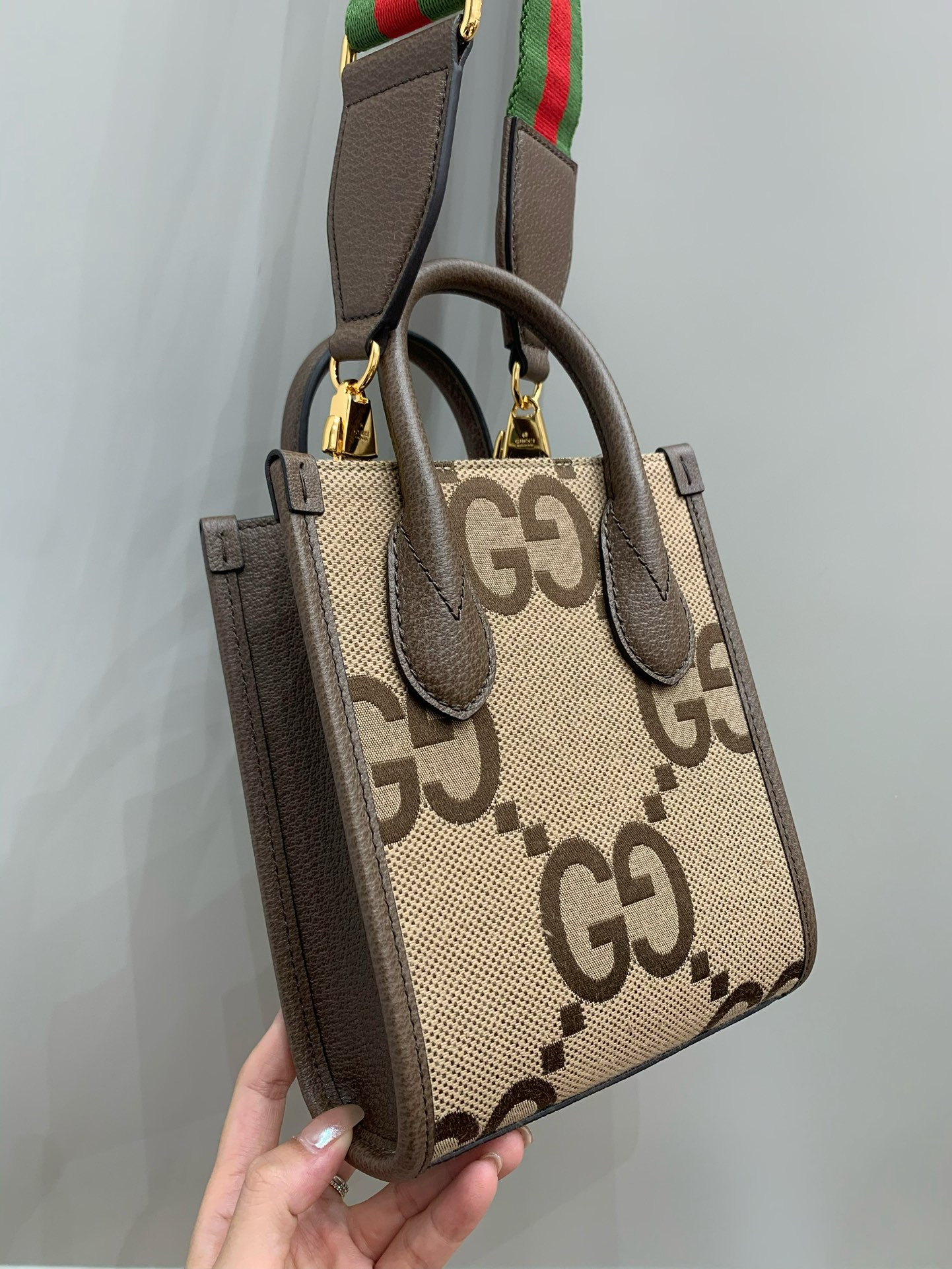 Mini Tote bag