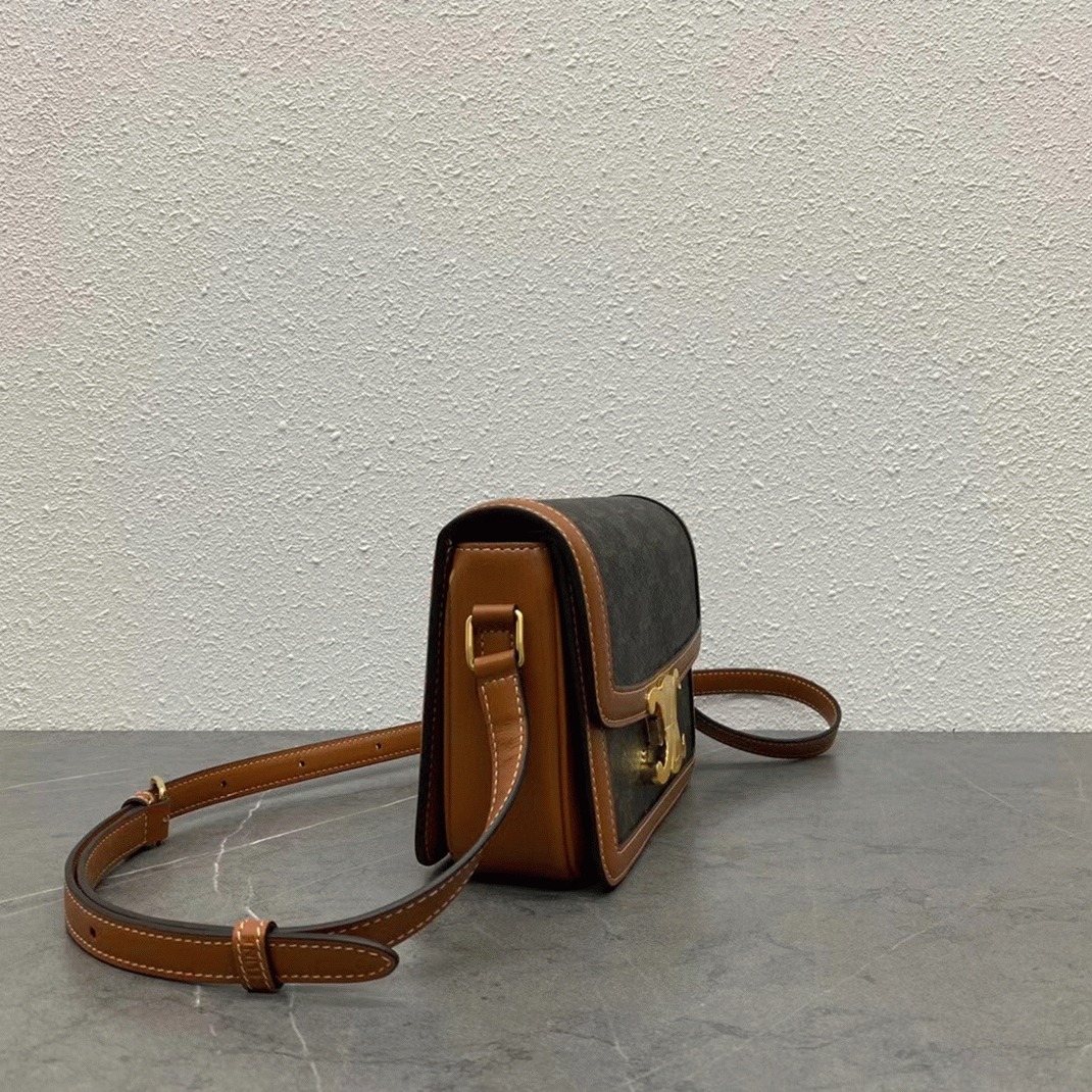 Top Quality Replica Celine Triomphe Teen Bag In Black Triomphe Canvas