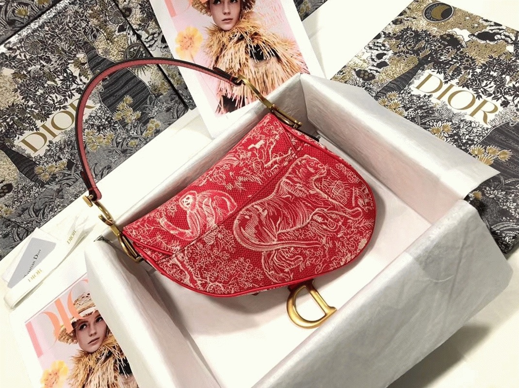 Dior Saddle Bag Imitation in Red Toile de Jouy Reverse Jacquard