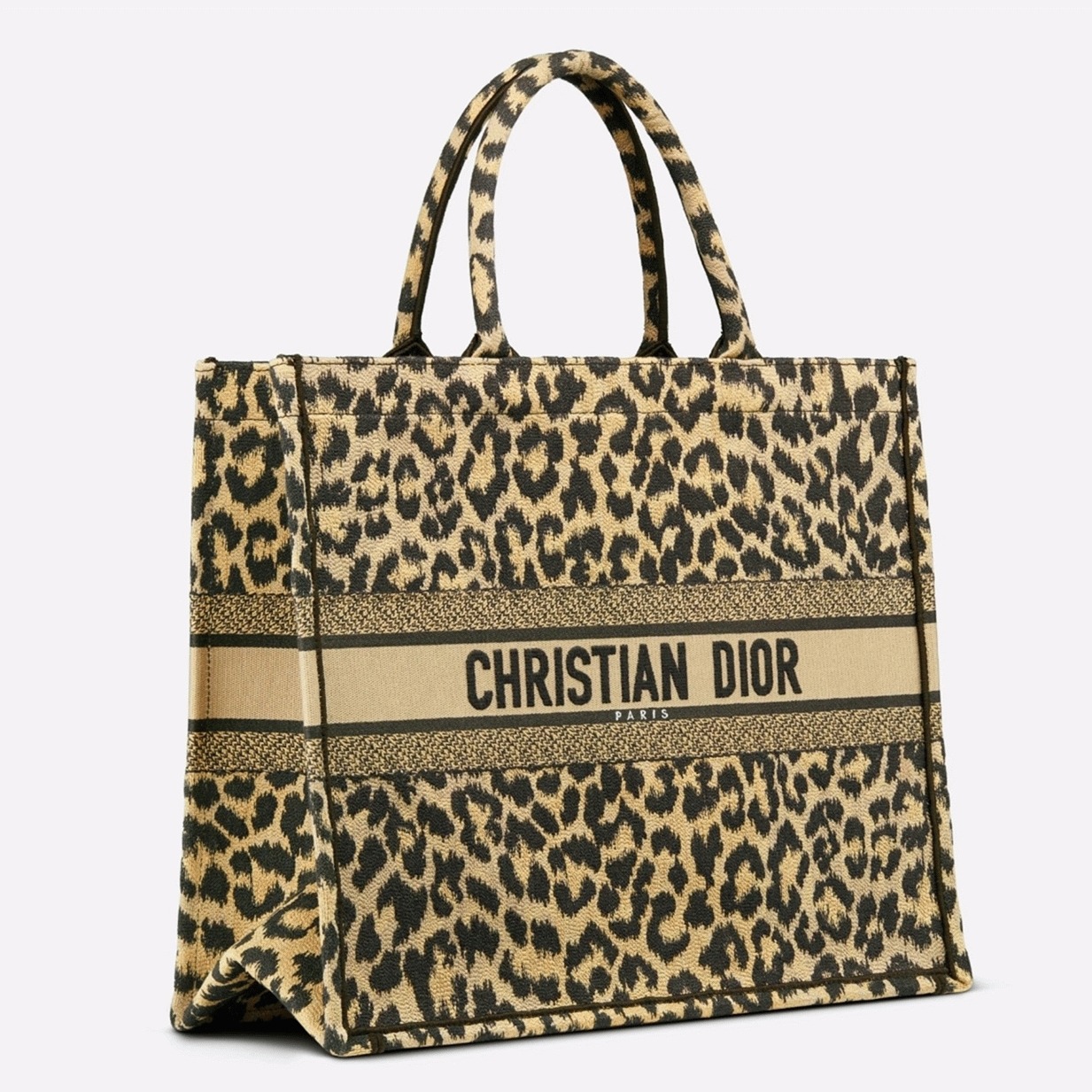 Dior Large Book Tote Bag Fake in Beige Multicolor Mizza Embroidery