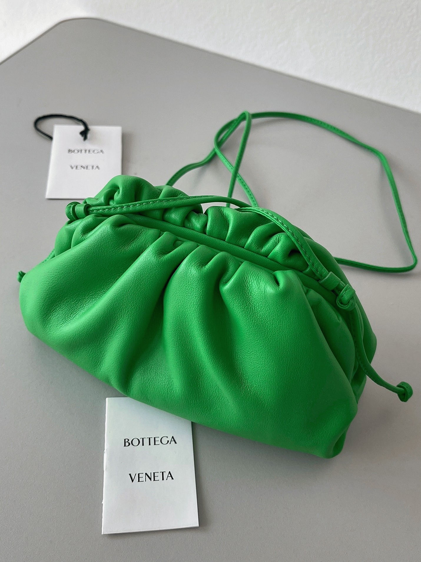 Fake Bottega Veneta Mini Pouch with Strap Parakeet