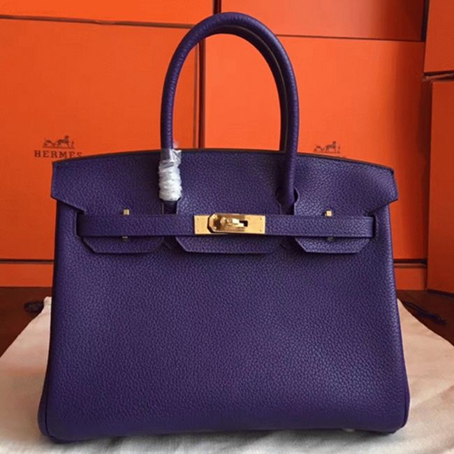 Iris Color Budget Knockoff Hermes Birkin 30cm Bag