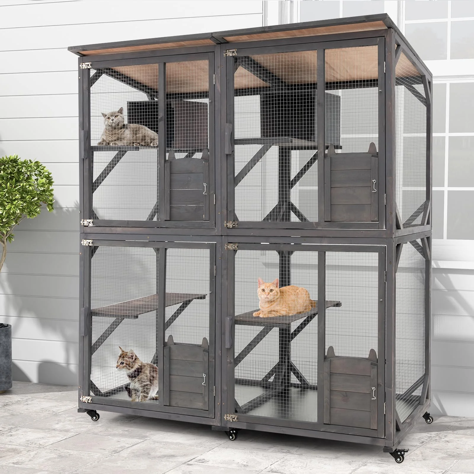 Catio utendørs kattebur, stor