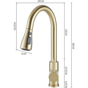 Stainless Steel Pull-Out Mixer Water Tap by Livingandhome