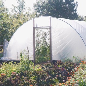 18Ft Heavy Duty Polytunnel Kit - Professional Greenhouse by Direct Polytunnels