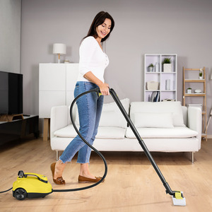 1.8L Water Tank Steamer Steam Cleaner by Costway