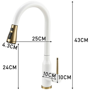 Retractable Pull-Down Kitchen Tap by Livingandhome