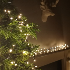 Premier 500 Cool LED Christmas Lights with Timer - Warm white by Samuel Alexander