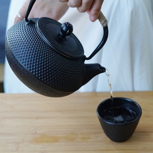 Cast Iron 5 in 1 Japanese Style Teapot Cups Set - Black by Gr8 Home