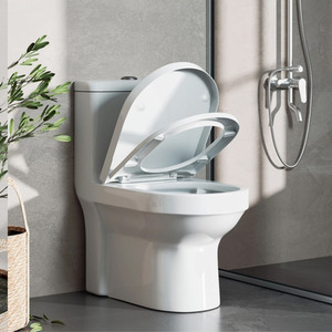 Soft Close D Shape Toilet Seat - White