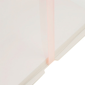 Transparent Cake Box with Ribbon - White / 30 x 30 x 35cm by Livingandhome