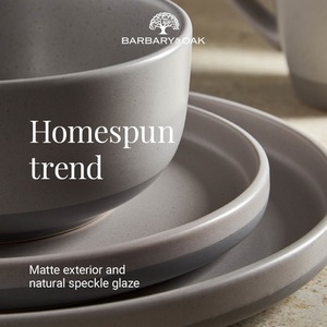 Avena 16 Piece Dinnerware Set - Fossil Grey by Barbary and Oak