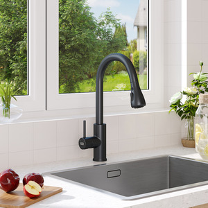 Stainless Steel Pull-Out Mixer Water Tap by Livingandhome