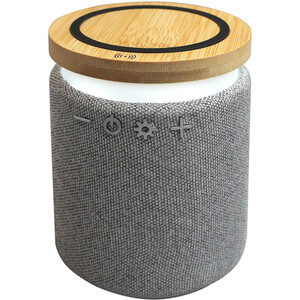 Speaker with Wireless Charger