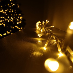 1000 LED 25m Premier In-Outdoor Multi Function String Lights-Timer-Vintage Gold - Vintage Gold by Samuel Alexander