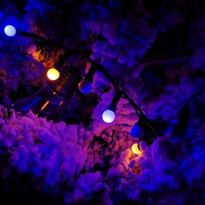 Frosted Berry Christmas String Lights by Samuel Alexander
