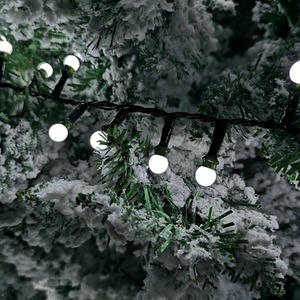 Frosted Berry Christmas Lights with LEDs by Samuel Alexander