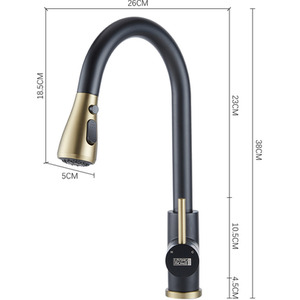 Stainless Steel Pull-Out Mixer Water Tap by Livingandhome