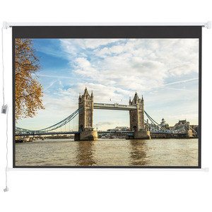 Large Electric Motorized Projector Screen - White / 100 Inches by Livingandhome