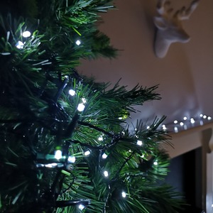 LED Christmas Multi Function Mains Operated Timer String Lights - Cool White / 0.9kg / no by Samuel Alexander