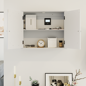 Priano 2 Door Mirrored Wall Cabinet - White by Vida Designs